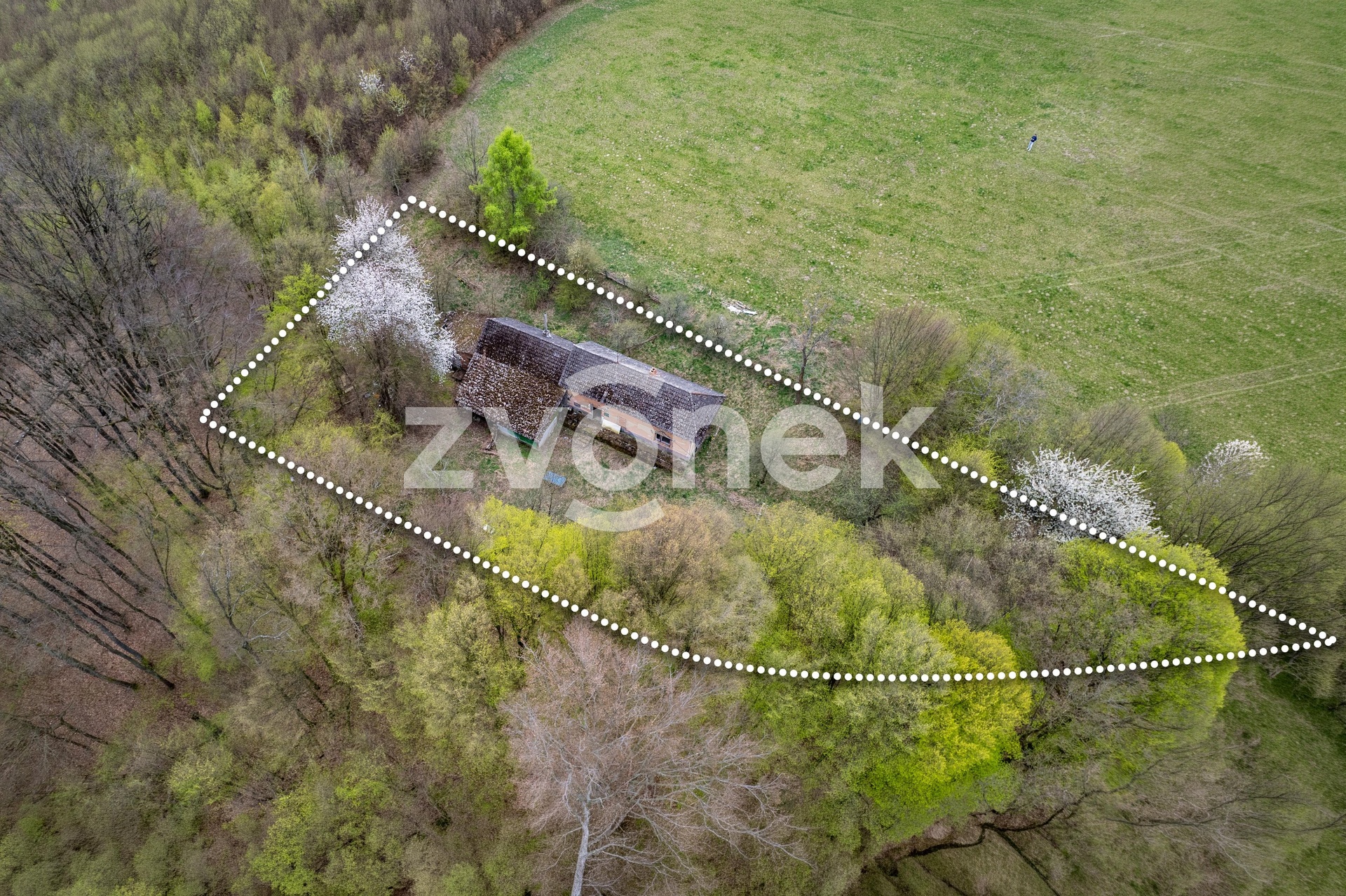 DJI_0166_