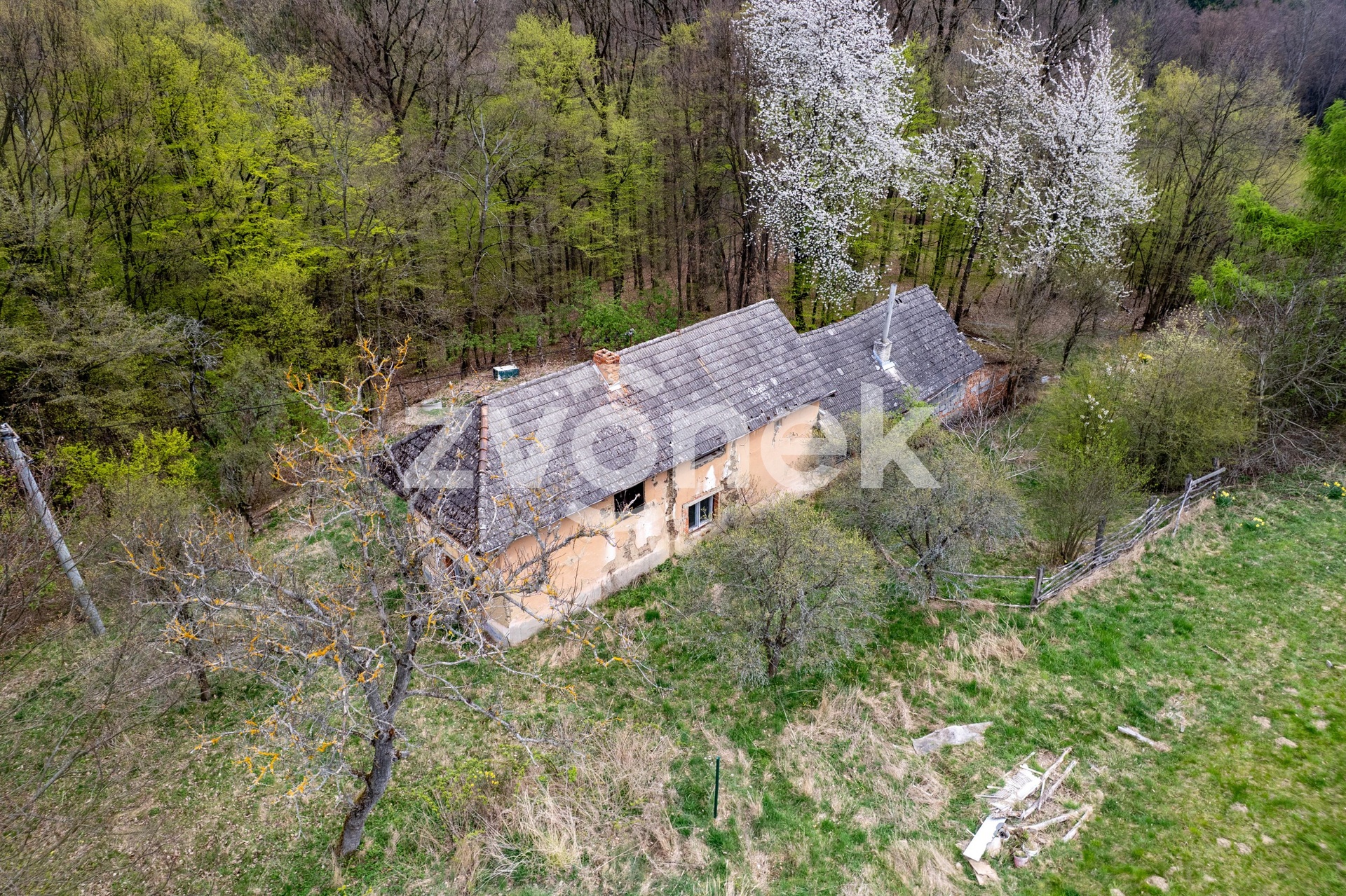DJI_0160