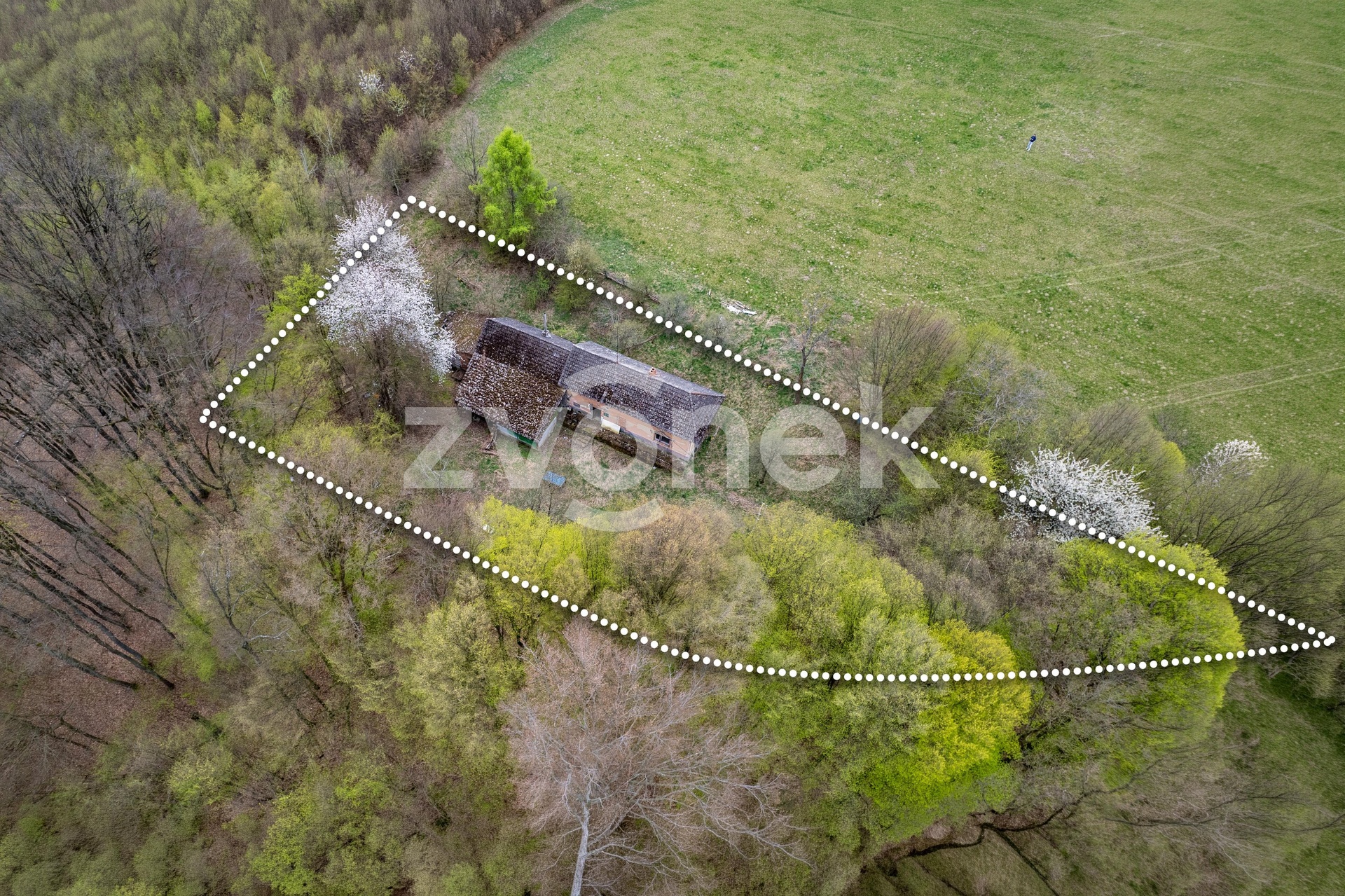 DJI_0166_