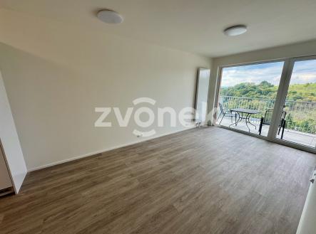 Pronájem bytu, 2+kk, 54 m²
