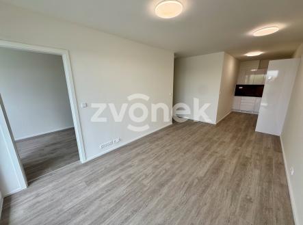 Pronájem bytu, 2+kk, 54 m²