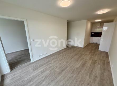 Pronájem bytu, 2+kk, 54 m²
