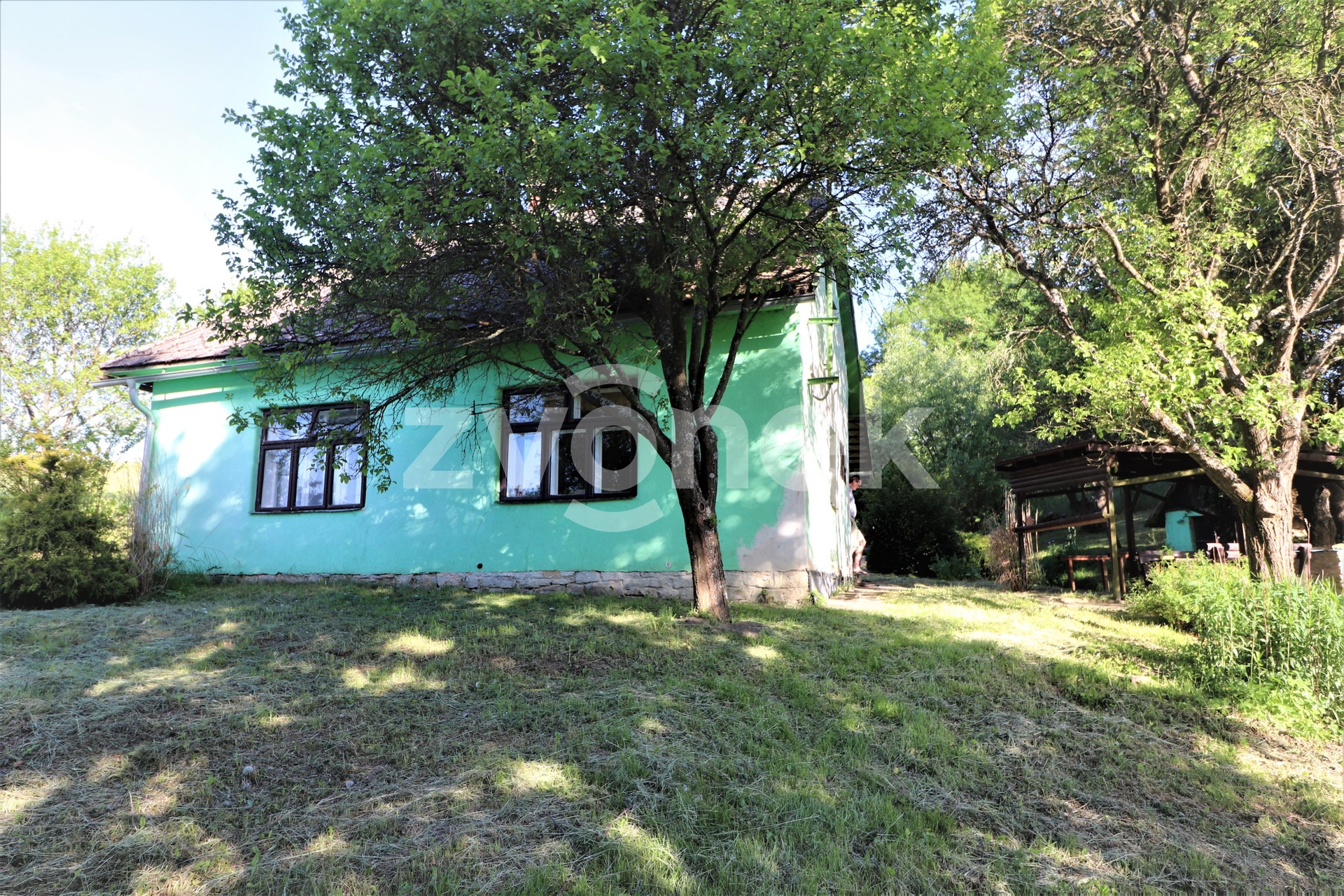 IMG_5690