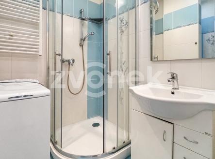 Pronájem bytu, 1+1, 39 m²