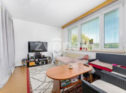 Prodej bytu, 2+1, 45 m²