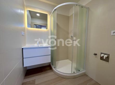 Pronájem bytu, 3+1, 62 m²