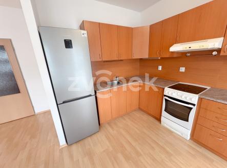 Pronájem bytu, 1+kk, 54 m²