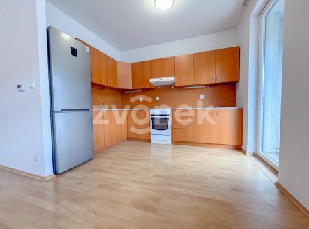 Pronájem bytu, 1+kk, 54 m²