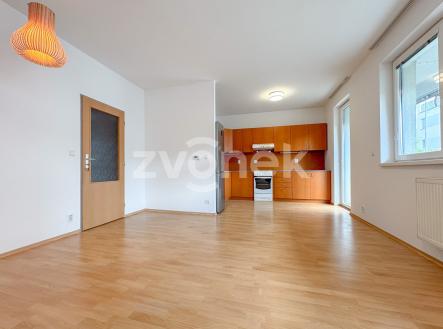Pronájem bytu, 1+kk, 54 m²