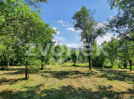 Prodej domu/vily, 300 m²