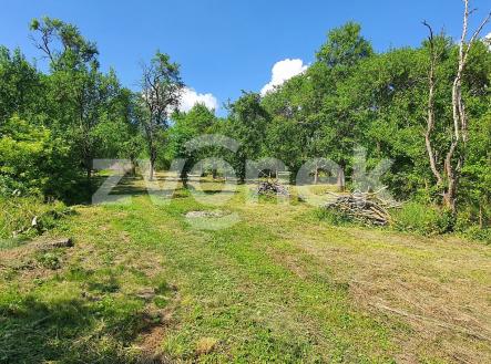 Prodej domu/vily, 300 m²