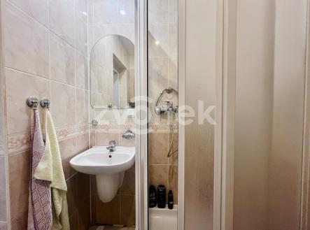 Pronájem bytu, 2+1, 45 m²