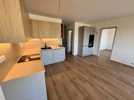 Pronájem bytu, 3+kk, 78 m²
