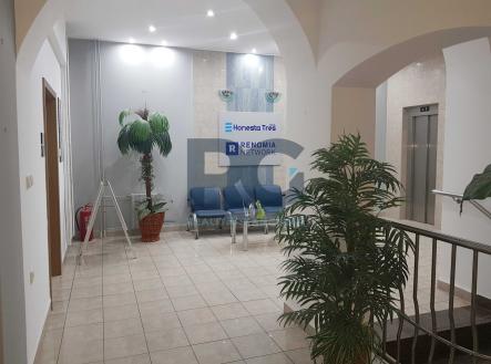 Pronájem kanceláře, 29 m²