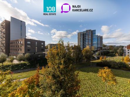 Pronájem kanceláře, 1 233 m²