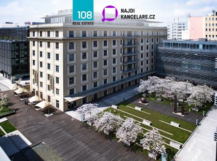 Pronájem kanceláře, 231 m²