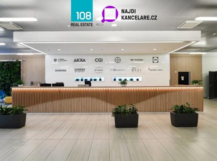 Pronájem obchodní prostor, 478 m²