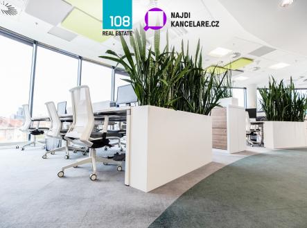 Pronájem kanceláře, 902 m²