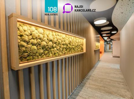 Pronájem kanceláře, 902 m²