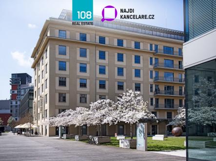 Pronájem kanceláře, 369 m²