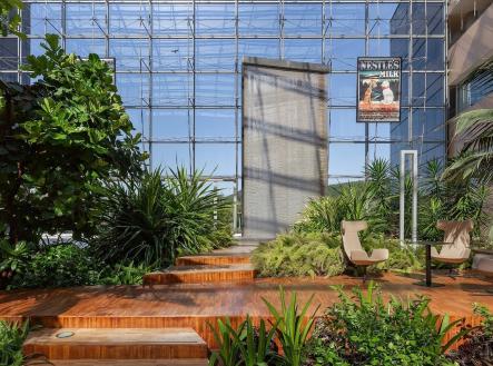 Pronájem kanceláře, 250 m²