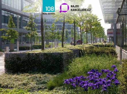 Pronájem kanceláře, 610 m²
