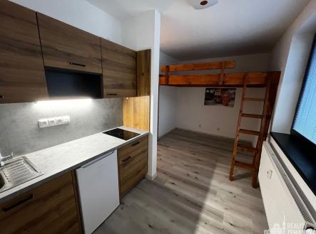 Pronájem bytu, 1+kk, 24 m² obrázek