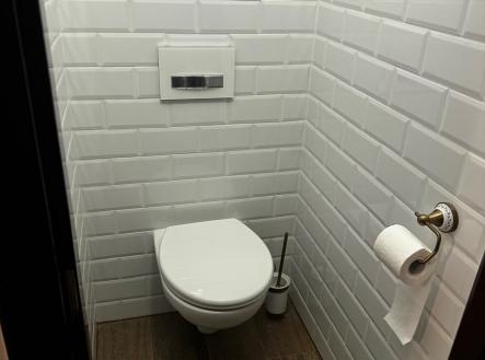 WC v přízemí
