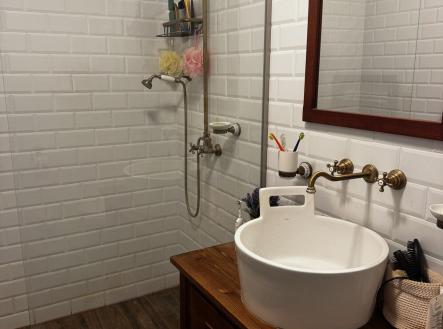 koupelna v přízemí