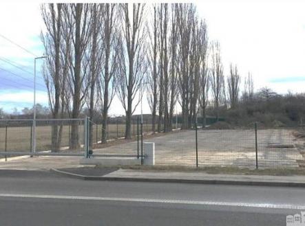 Pronájem pozemku, ostatní, 650 m²