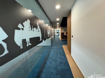 Pronájem kanceláře, 740 m²