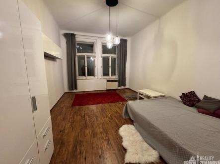 Pronájem bytu, 1+1, 47 m²