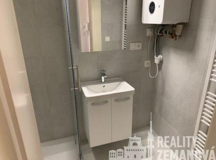 Pronájem bytu, 1+1, 48 m²