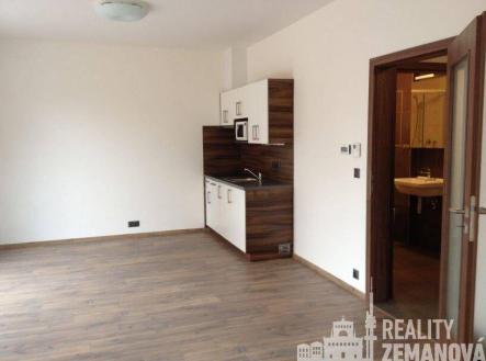 Pronájem bytu, 1+kk, 38 m²