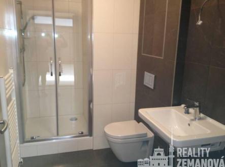 Pronájem bytu, 1+kk, 30 m²