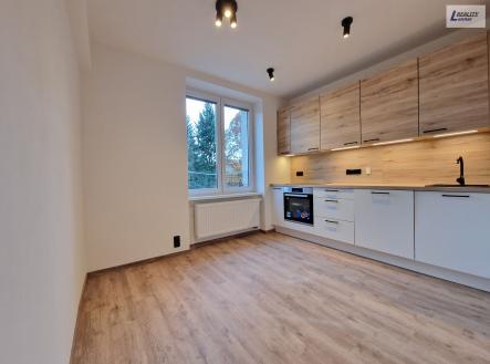 Pronájem bytu, 1+1, 47 m²