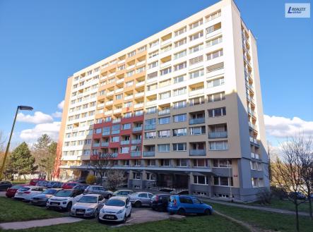 Prodej bytu, 1+1, 45 m²