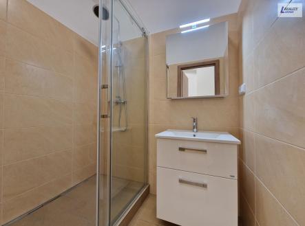 Pronájem bytu, 1+kk, 71 m²