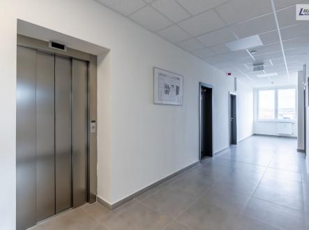 Pronájem kanceláře, 30 m²