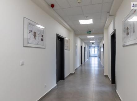 Pronájem kanceláře, 60 m²