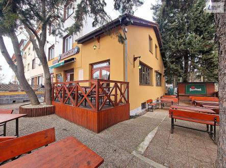 Pronájem obchodní prostor