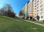 Pronájem bytu, 1+kk, 26 m²