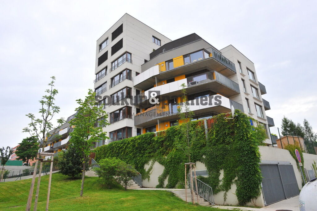 Fotku se nepodařilo načíst.