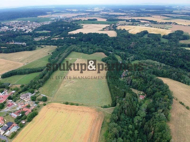 Pozemky 56.224 m2, Zářecká Lhota, okr. Ústí nad Orlicí.