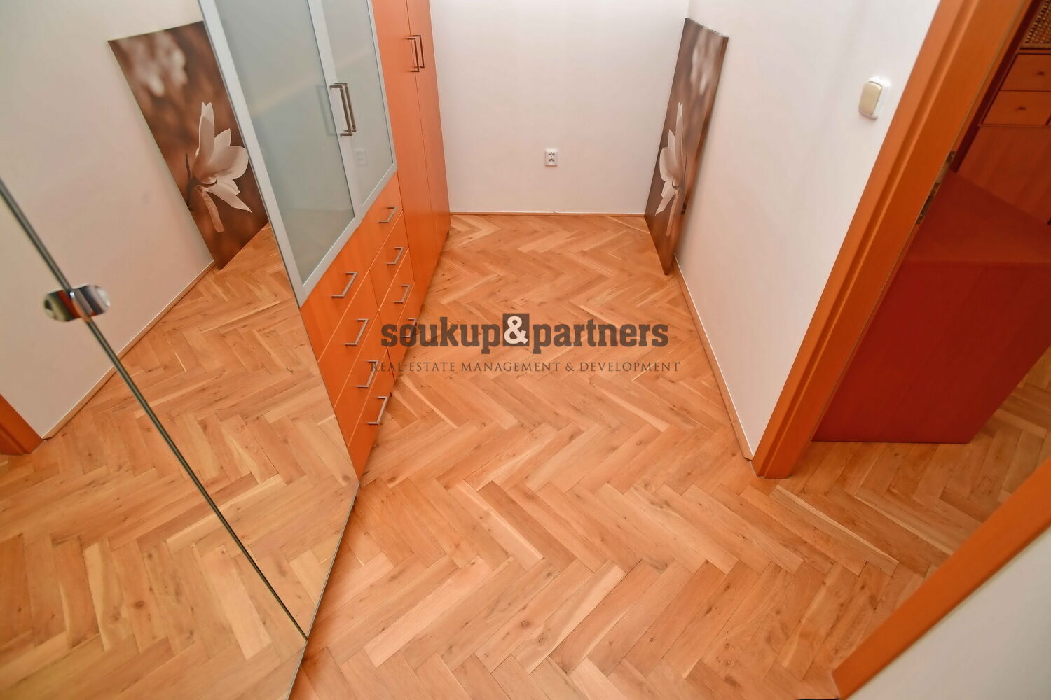 Fotku se nepodařilo načíst.