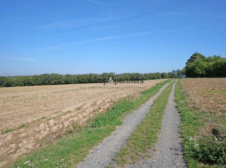 Prodej pozemku, trvalý travní porost, 18 504 m²