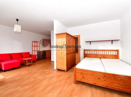 Pronájem bytu, 1+kk, 43 m²