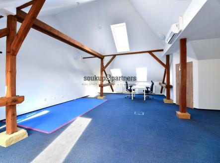 Prodej domu/vily, 384 m²