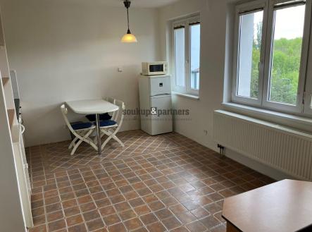 Pronájem bytu, 1+kk, 27 m²