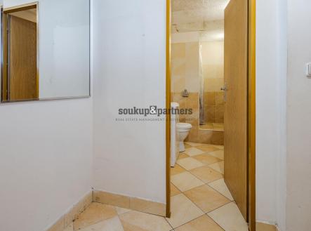 Prodej bytu, 1+kk, 44 m²